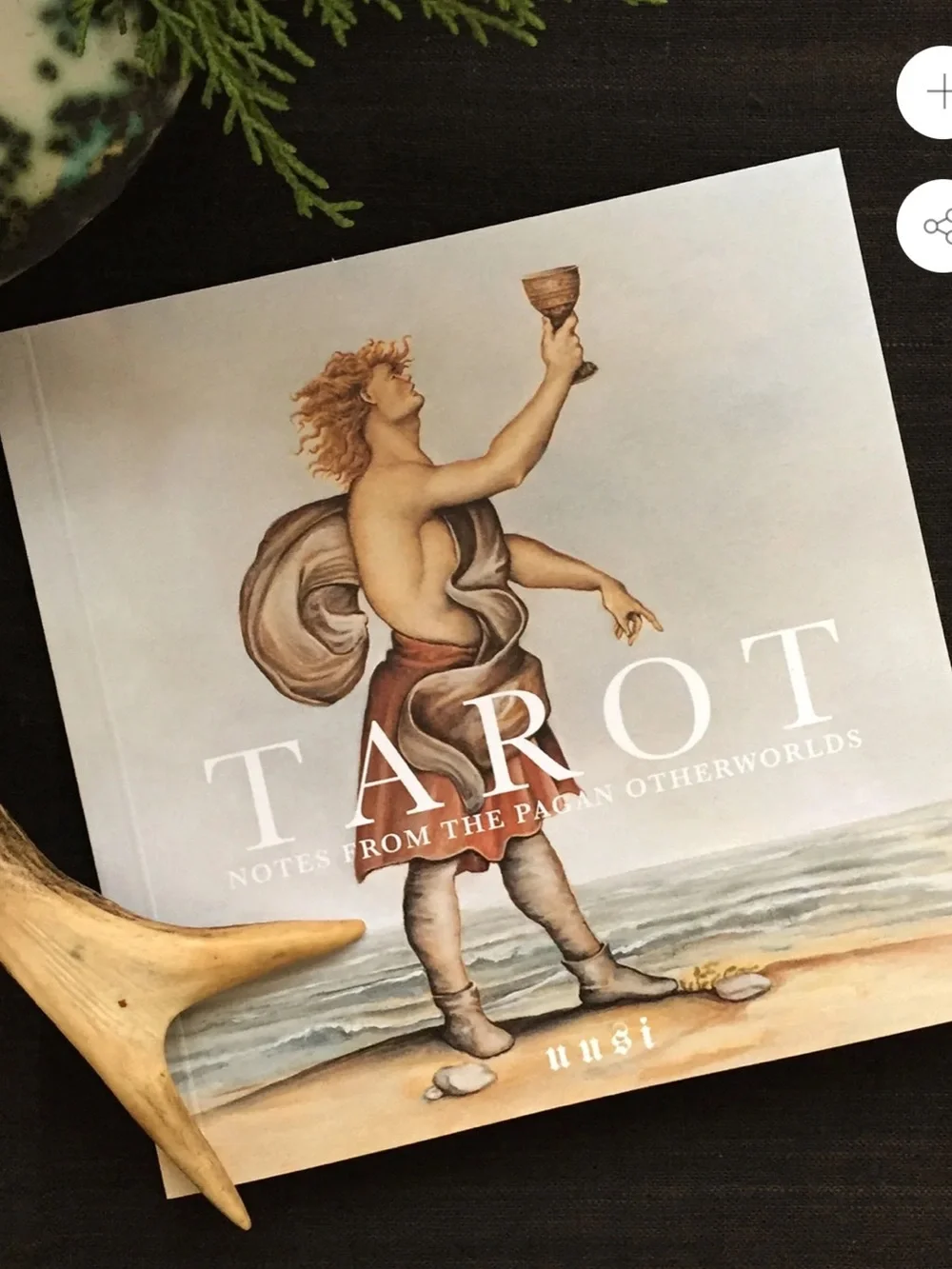 🟣 BOGO! Tarot: Notes from the Pagan Otherworlds Book